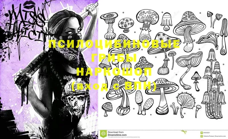 купить наркотики сайты  Еманжелинск  Галлюциногенные грибы Psilocybine cubensis 